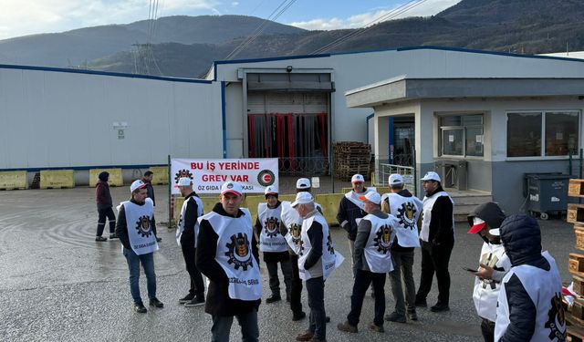 Akyazı'daki o fabrikada işçiler greve başladı