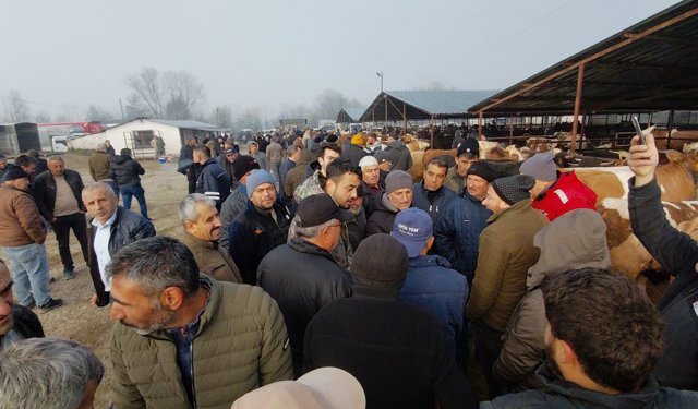 Hayvan pazarında hararetli pazarlık kamerada