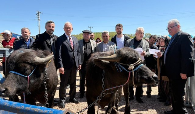 Kandıra'nın meşhur mandasına destek