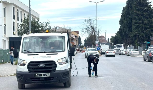 Erenler'de larva ile etkili mücadele