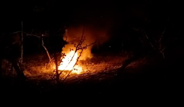 Üretici meyve ağaçlarını ateş yakarak koruyor