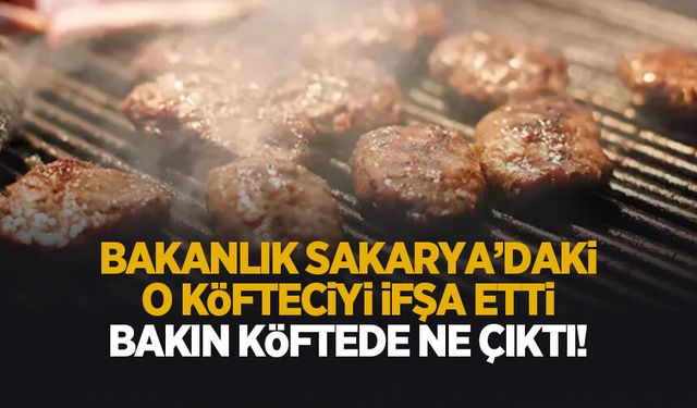 Sakarya'da ki o köfteci ifşa oldu; Köftede bakın ne çıktı