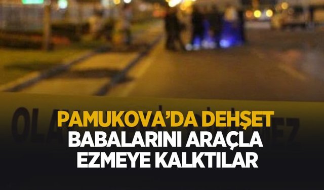 Babalarını araçla ezmeye kalktılar