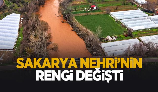 Sakarya Nehri'nin rengi değişti