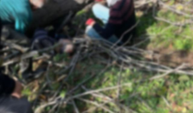 Kestiği ağacın altında kalarak yaralandı