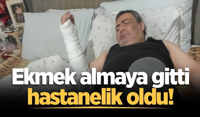 Ekmek almaya gitti, hastanelik oldu!