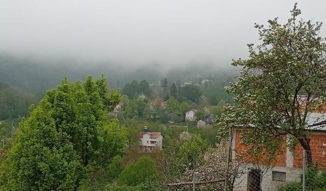 Hendek'in yüksek kesimlerinde bahar ve sis bir arada