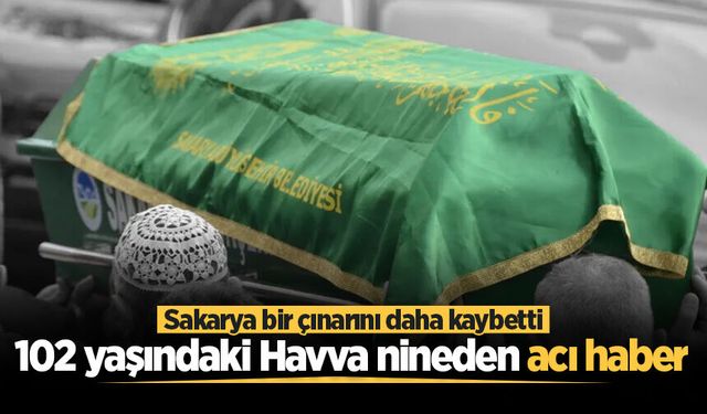 Adapazarı'nda asırlık çınar hayatını kaybetti