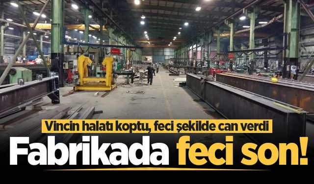 Hendek'te yine ölümlü iş kazası! Vincin halatı koptu, feci şekilde can verdi