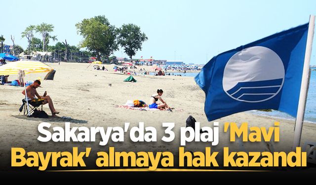 Sakarya'da 3 plaj 'Mavi Bayrak' almaya hak kazandı