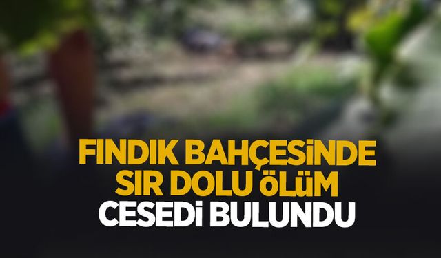 Fındık bahçesinde ceset bulundu