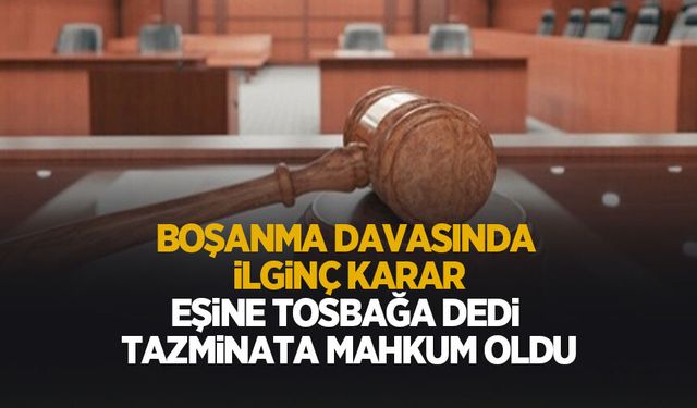 Eşine tosbağa dedi paradan ve yuvasından oldu