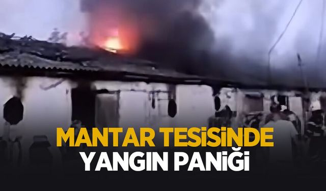 Mantar tesisi yandı