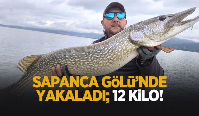 Sapanca Gölü’nde dev turna yakaladı