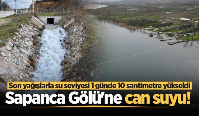 Sapanca Gölü'ne can suyu! Son yağışlarla su seviyesi 1 günde 10 santimetre yükseldi
