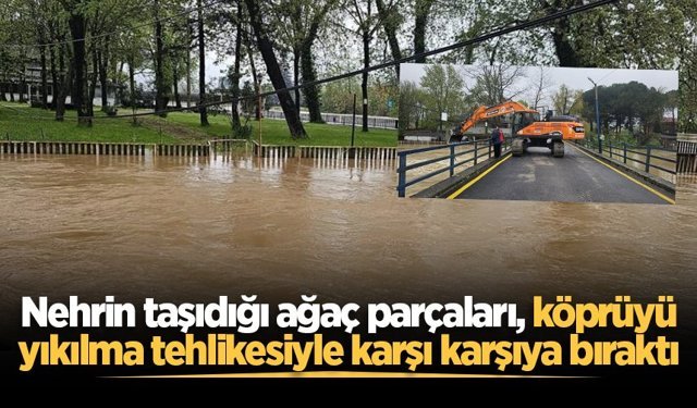 Nehrin taşıdığı ağaç parçaları, köprüyü yıkılma tehlikesiyle karşı karşıya bıraktı