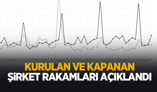 Kurulan ve kapanan şirket istatistikleri