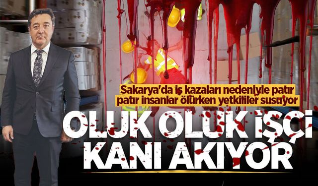 Sakarya'da iş kazaları nedeniyle patır patır insanlar ölürken yetkililer susuyor