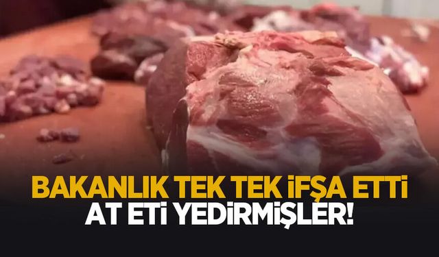 Bakanlık listeyi açıkladı; At eti yedirmişler
