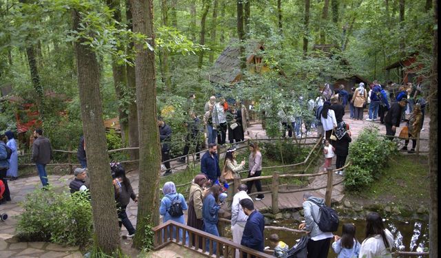 215 bin kişi Ormanya'ya koştu