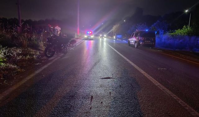 Kocaeli'de direğe çarpan otomobile arkadan gelen başka bir araç çarptı: 1 ölü