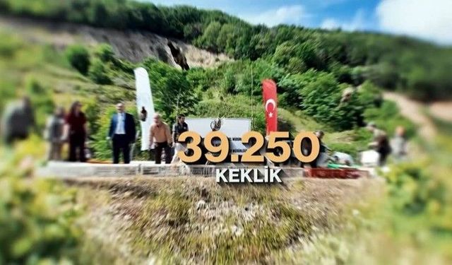 Kene ve kahverengi kokarcaya karşı 51 bin keklik ve sülün salınacak