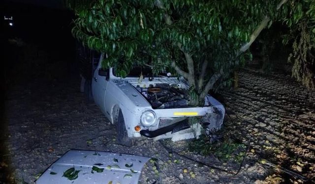 Bilecik'te otomobil ağaca çarptı: 2 yaralı