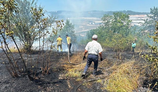 Anız yangını kontrolden çıkıp ormana sıçradı