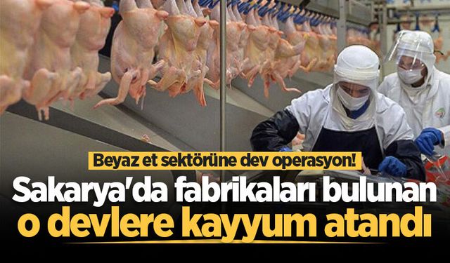 Beyaz et sektörüne dev operasyon! Sakarya'da fabrikaları bulunan o devlere kayyum atandı