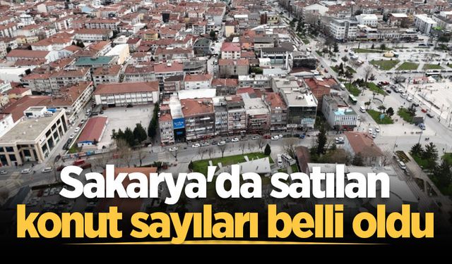 Sakarya'da Mayıs ayının konut satış istatistikleri açıklandı