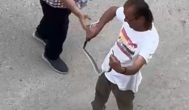 Paniğe sebep olan yılanı eliyle yakaladı