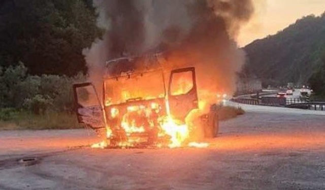 Seyir halindeki tır alev alev yandı