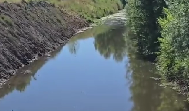 Sapanca Gölü Koruma Platformu’ndan Derbent Deresi için çağrı
