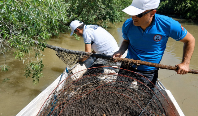 Sakarya Nehri’nde kaçak avcılığa geçit yok