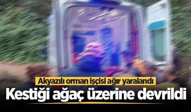 Ormanda feci olay! Kestiği ağaç üzerine devrildi, ağır yaralandı