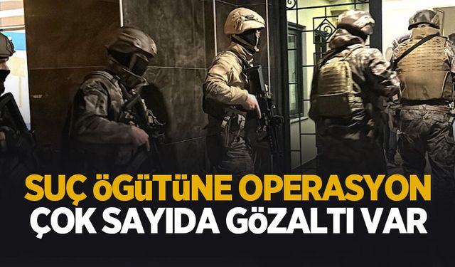 Suç örgütüne operasyon