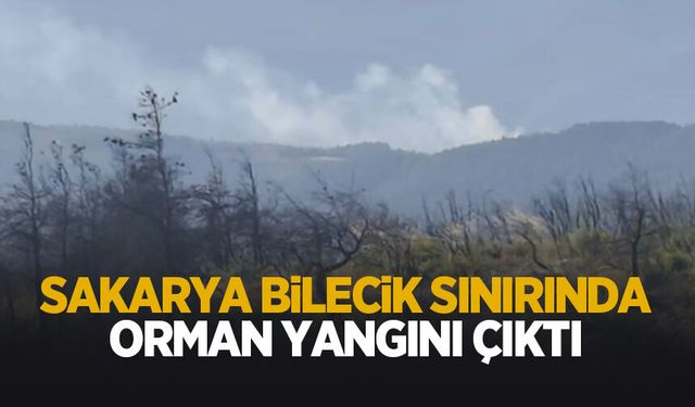 Sakarya- Bilecik sınırında orman yangını