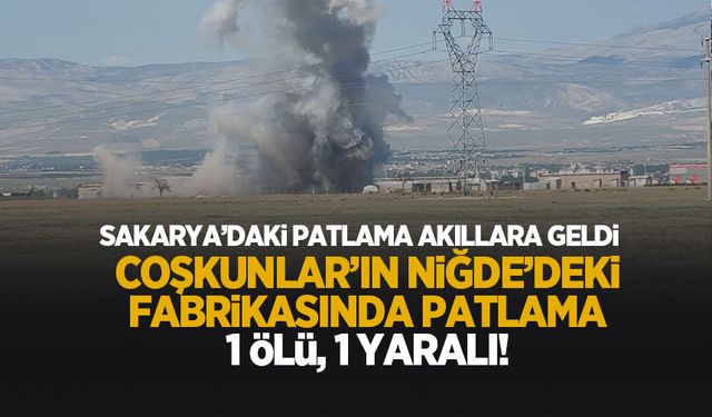 Coşkunlar'ın Niğde'deki havai fişek fabrikasında patlama: 1 ölü, 1 yaralı