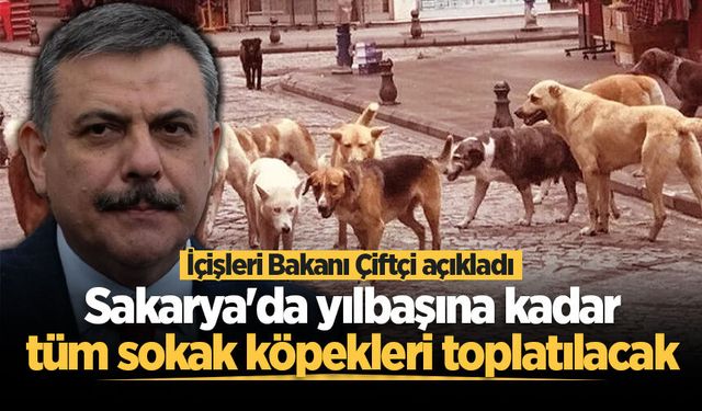 İçişleri Bakanı Çiftçi açıkladı: Sakarya'da yılbaşına kadar tüm sokak köpekleri toplatılacak