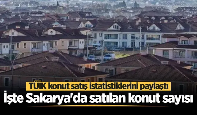 Sakarya'da Haziran ayında satılan konut sayısı belli oldu