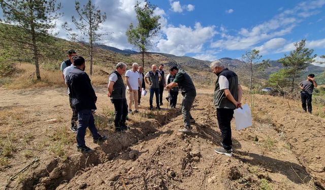 Geyve'deki yanan orman sahalarında ağaçlandırma çalışmaları incelendi