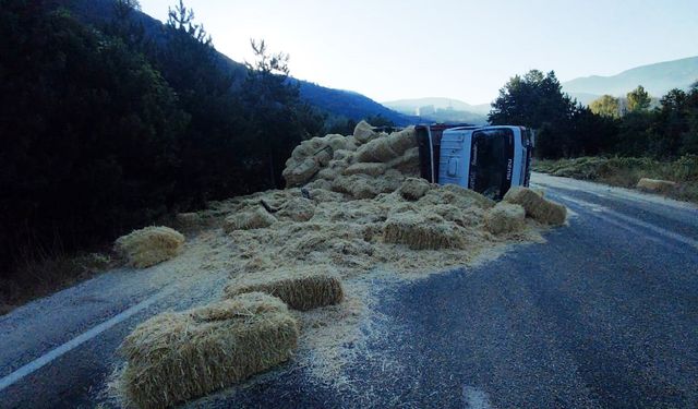 İki kamyon kafa kafaya çarpıştı: Samanlar yola saçıldı, 2 yaralı