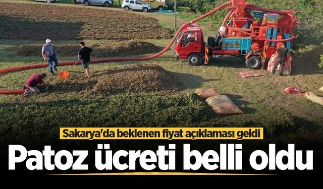Sakarya'da patoz ücretleri belli oldu
