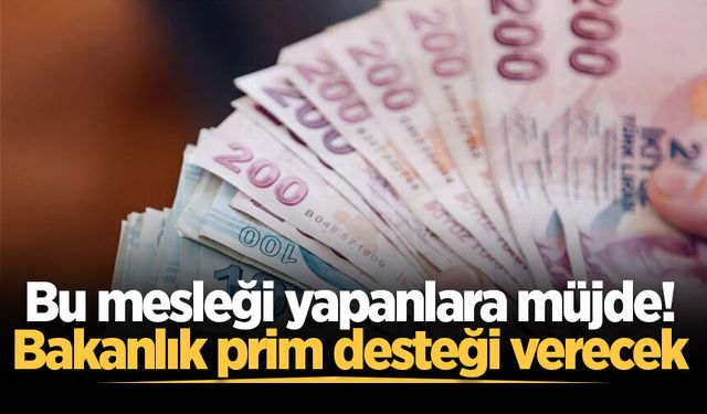 Bu mesleği yapanlara müjde! Bakanlık prim desteği verecek