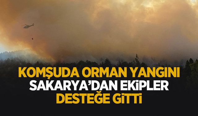 Orman yangını 3 saatin ardından kontrol altına alındı