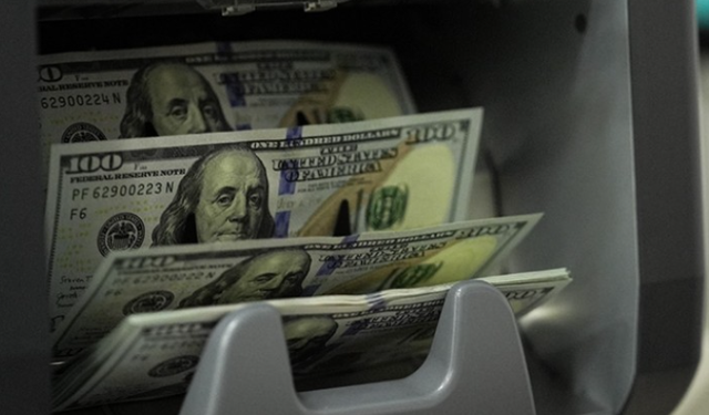 Haziran ayından en yüksek reel getiri DİBS'te oldu