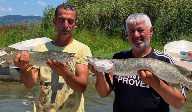 Usta balıkçı Mehmet Akbaş fark atıyor
