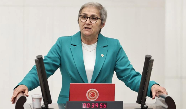 Ayça Taşkent’e Yeni Parti'de yeni görev