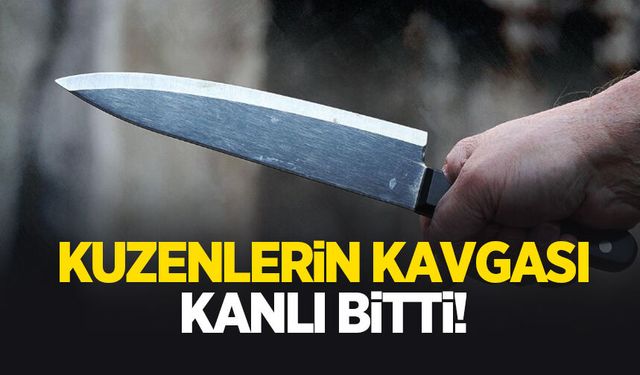 Düğünde başlayan husumet kanlı bitti; Kuzenini bıçakladı