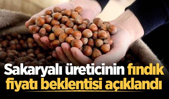 Sakaryalı üreticinin fındık fiyatı beklentisi açıklandı: TMO’ya 300 TL çağrısı